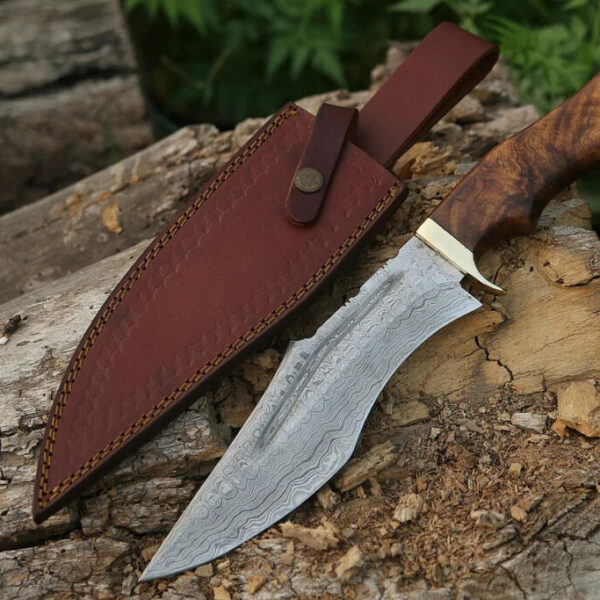Handmade Damascus Hunting Bowie Knife With Rose Wood Handle Survival Knife Anniversary Gift Camping Knife Groomsmen Gift Thanksgiving Gift