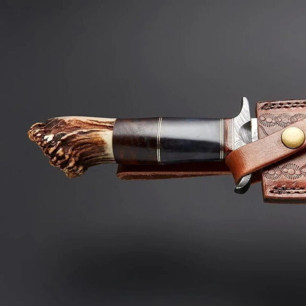 Handmade Damascus Hunting Camping Knife Forged Damascus Knives Stag Bull Horn Handle Beautiful Art Best Gift For Him - Image 3